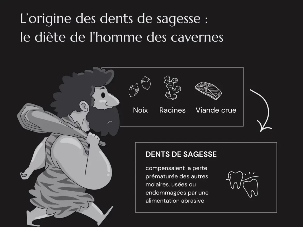 origine des dents de sagesse